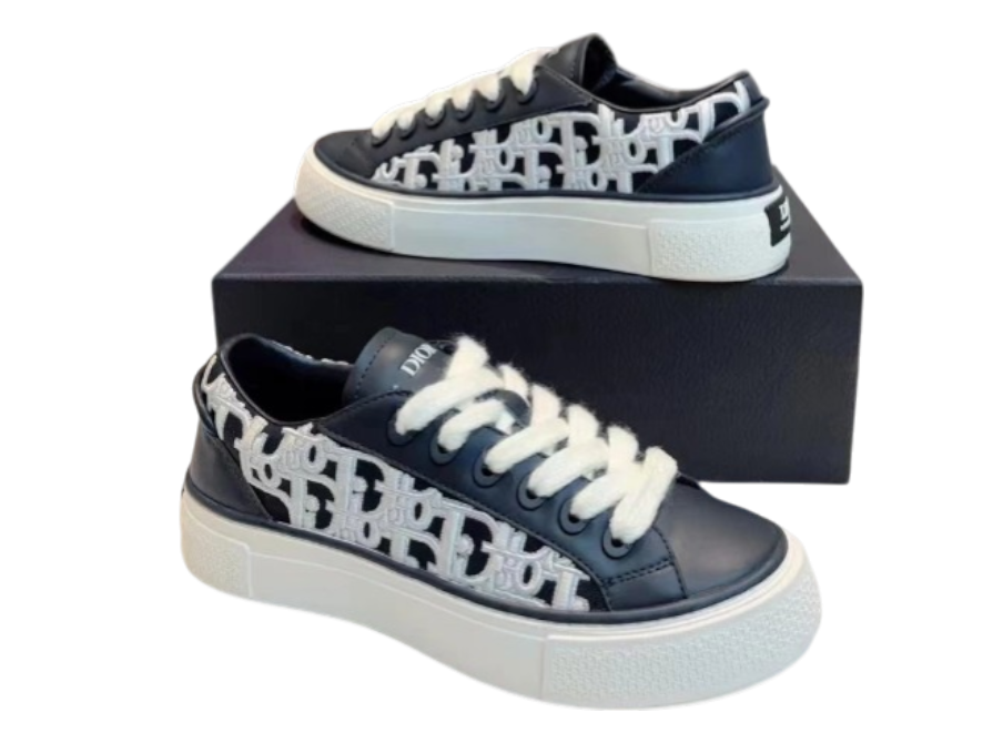 DIOR B33