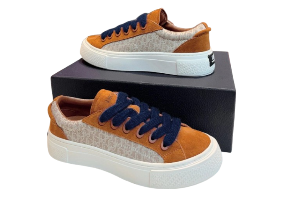 DIOR B33