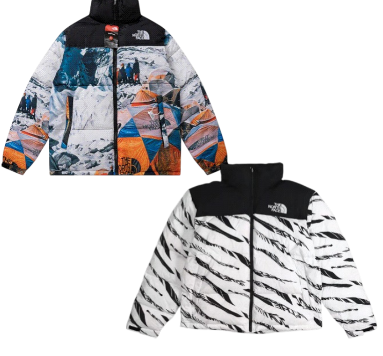 The North Face down jacket (+20 styles)