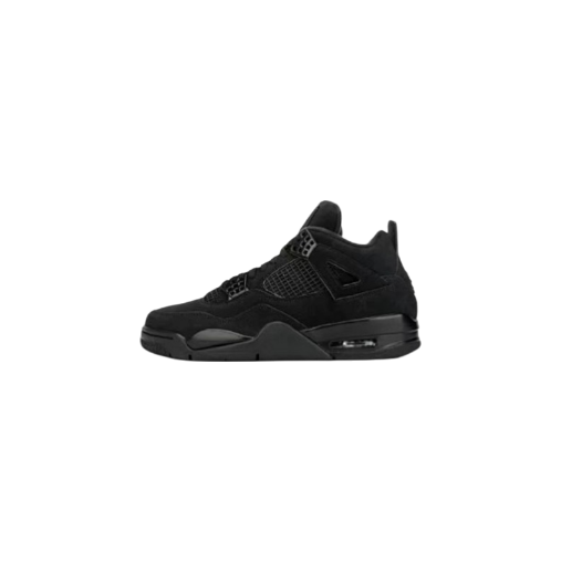 Jordan 4 (+25 Colourways)