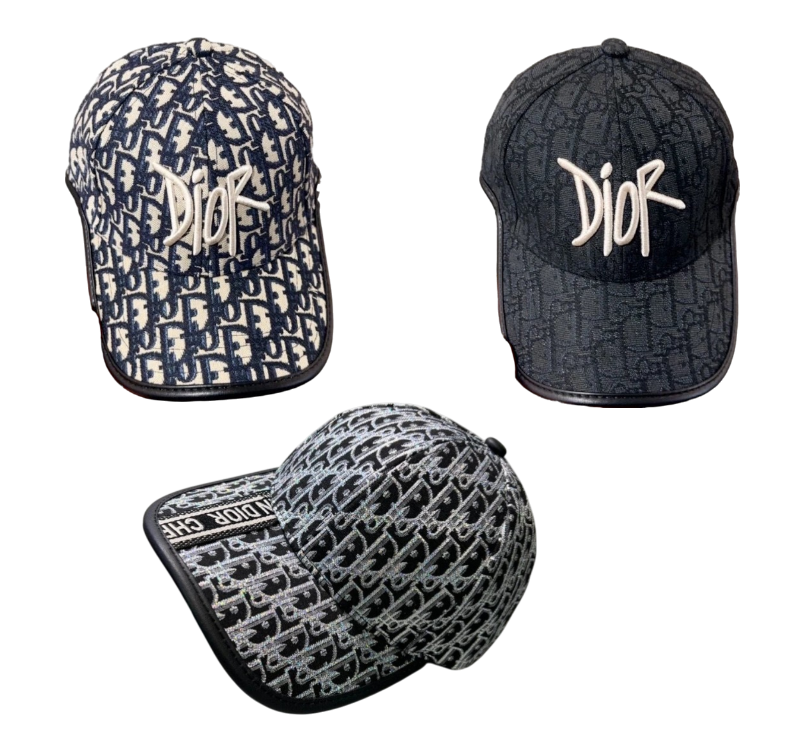Dior hat  (+10 styles)