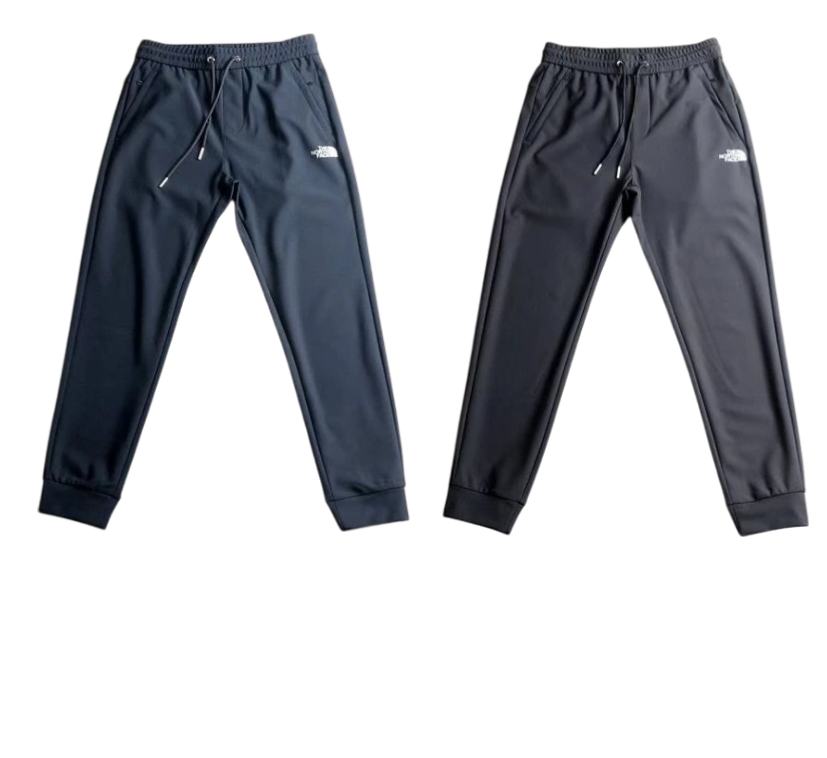 The north face pant