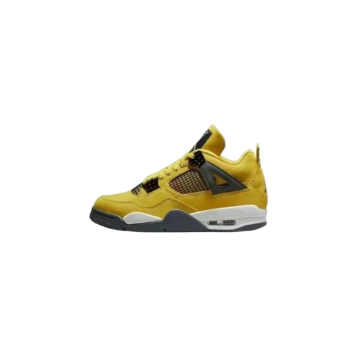 Jordan 4 (+25 Colourways)