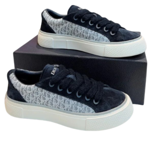 DIOR B33