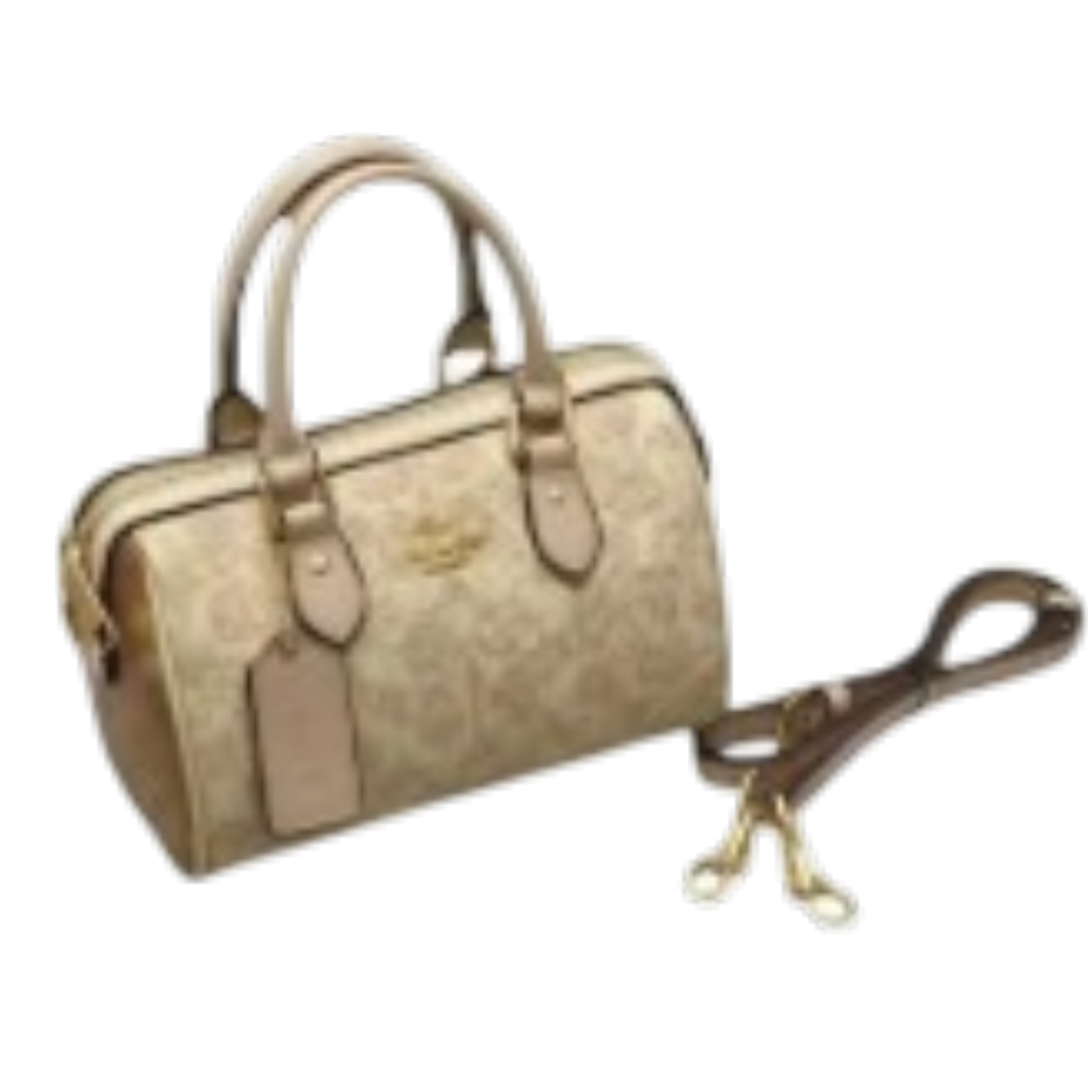 Coach Mini Bag
