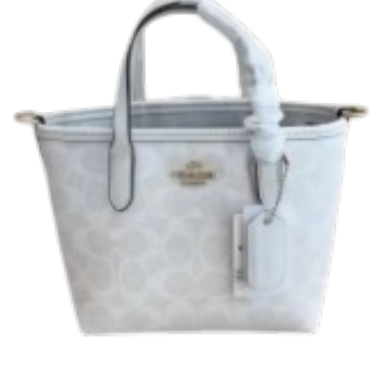 Coach Mini Bag
