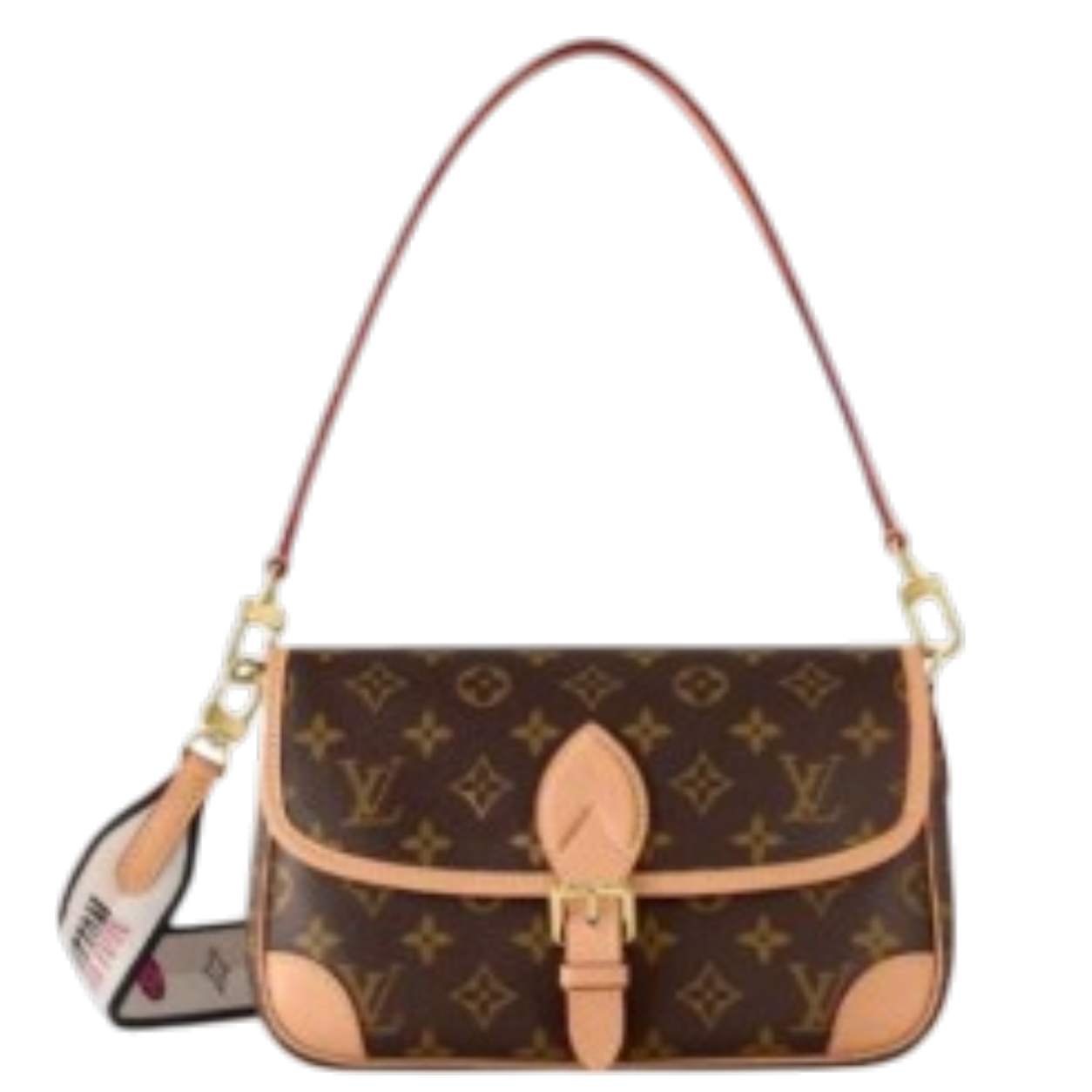 Louis Vuitton Bag